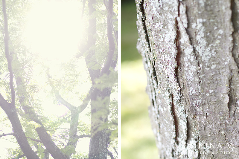 toronto wedding photographer