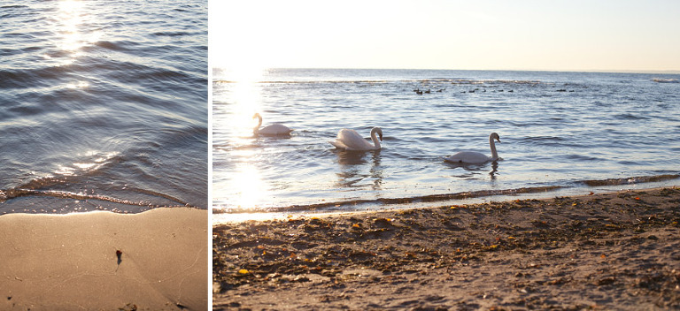 Toronto Wedding Photographer Corina V. Photography