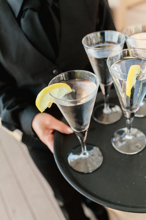 toronto wedding photography palais royale