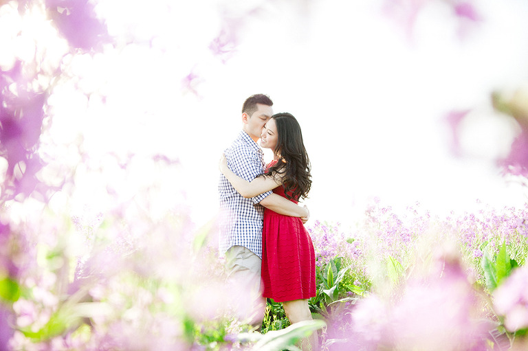 Purple Flower Field Engagement | Corina V. Photography