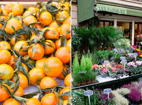 Paris Photo ~ Corina V. Photography