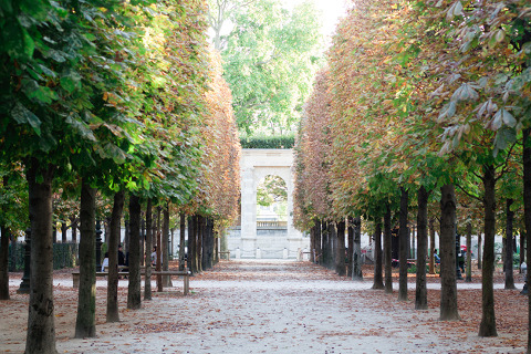 Paris Photo ~ Corina V. Photography