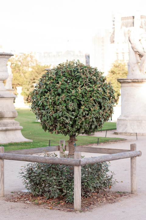 Paris Photo ~ Corina V. Photography