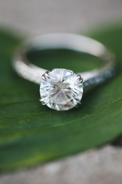 Toronto Engagement Photographer ~ Corina V. Photography