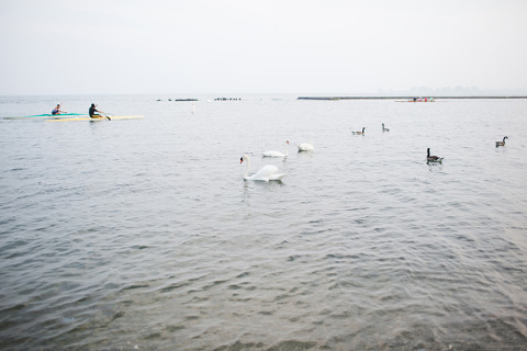 Toronto Engagement Photographer ~ Corina V. Photography