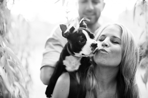 toronto portrait photographyer puppy | corina v. photography