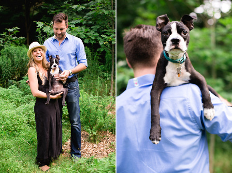 toronto portrait photographer puppy | corina v. photography