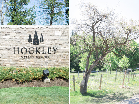 toronto wedding photographer | corina v photography