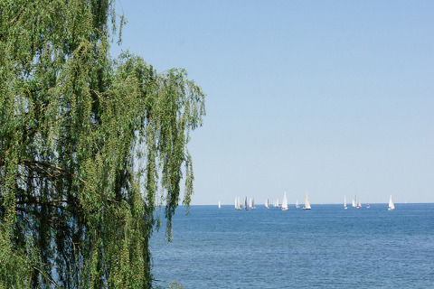 oakvilleweddingphotographer_corinavphotography30