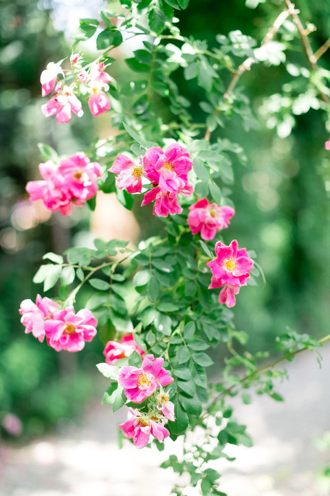 torontoweddingphotographer_corinavphotography25