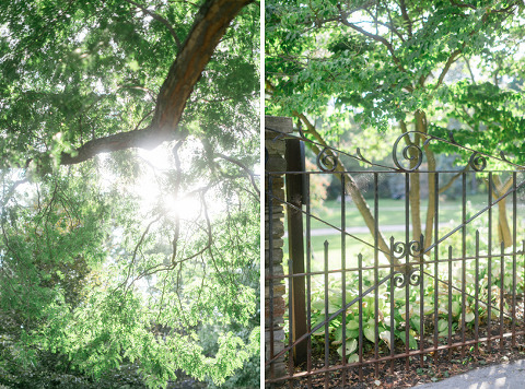 corinavphotography14