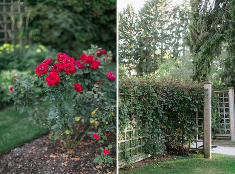 corinavphotography21