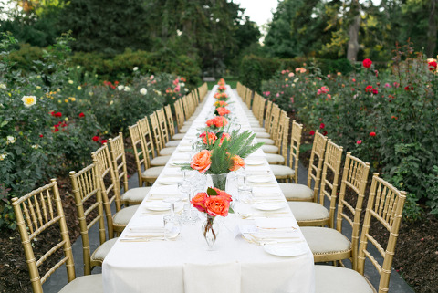 corinavphotography26